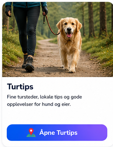 Turtips